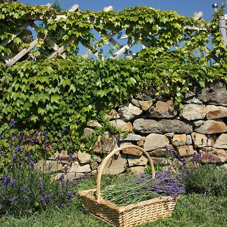 Georgina Panoramas - Bacchus Badacsony Διαμέρισμα *