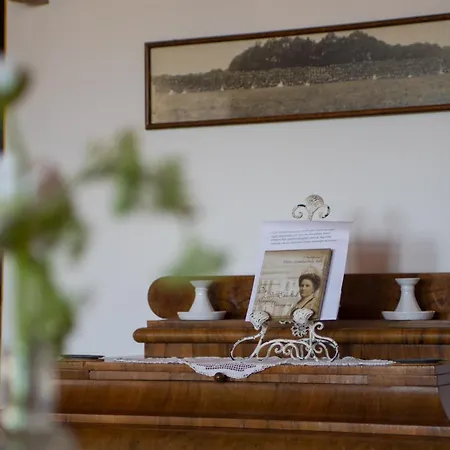 Georgina Panoramas - Bacchus Badacsony Διαμέρισμα Badacsonytomaj