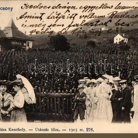 Georgina Panoramas - Bacchus Badacsony شقة *