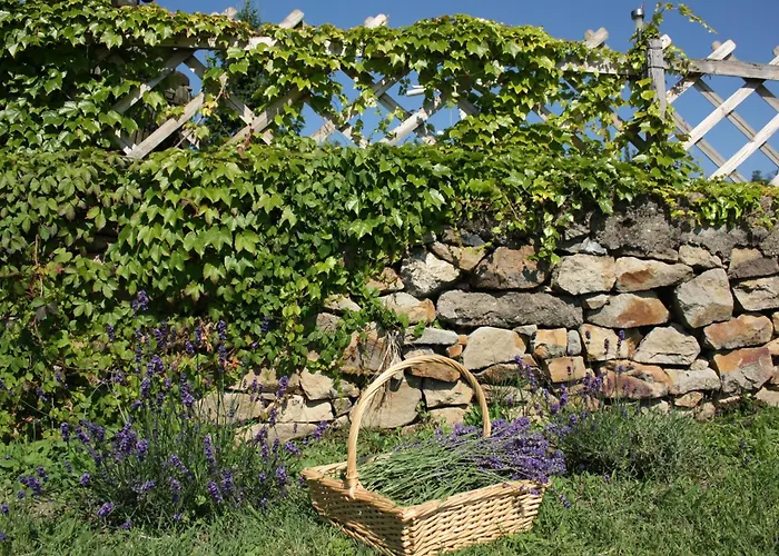 Georgina Panorámás - Bacchus Badacsony Apartamento *